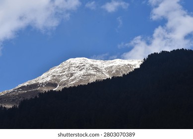 A sharp diagonal contrast splits the landscape. In the foreground, a steep mountain slope rises from the bottom right, completely covered in a dense forest of dark evergreen pine trees cast in deep shadow.

Behind this dark forested ridge, a massive mountain peak rises prominently. Its broad, rugged upper slopes are heavily dusted with white snow, revealing a textured pattern of exposed rocky earth beneath the winter coating. The summit stands out against a vivid blue sky, which features soft, wispy white clouds drifting past the right side of the peak. Bright, clear daylight illuminates the snow-capped massif, creating a stark tonal contrast with the shadowed forest below.