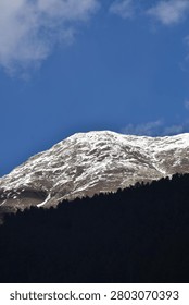 A sharp diagonal contrast splits the landscape. In the foreground, a steep mountain slope rises from the bottom right, completely covered in a dense forest of dark evergreen pine trees cast in deep shadow.

Behind this dark forested ridge, a massive mountain peak rises prominently. Its broad, rugged upper slopes are heavily dusted with white snow, revealing a textured pattern of exposed rocky earth beneath the winter coating. The summit stands out against a vivid blue sky, which features soft, wispy white clouds drifting past the right side of the peak. Bright, clear daylight illuminates the snow-capped massif, creating a stark tonal contrast with the shadowed forest below.