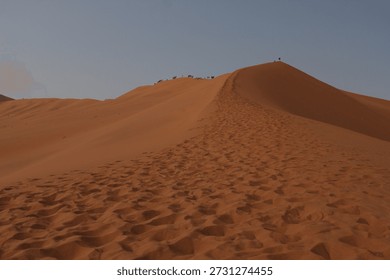 Sharp dune crest in Sossusvlei, Namibia, with dramatic light and shadow