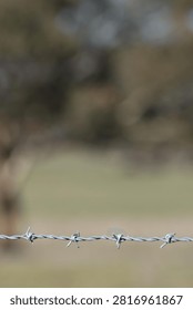 A sharp focus on a single strand of barbed wire against a soft bokeh background.