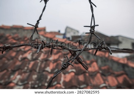 Sharp Intersecting Wire Spikes Stand Out Against A Softly Blurred Urban Background.