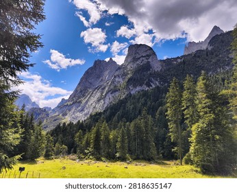 Sharp limestone mountain peaks tower over a dense coniferous forest and a sunny green meadow under dramatic clouds.
