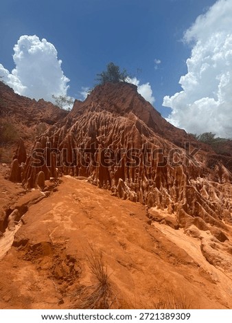 Sharp limestone pinnacles of Tsingy de Bemaraha National Park in Madagascar. Dramatic karst landscape and UNESCO World Heritage Site.