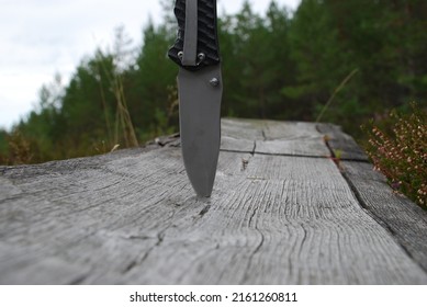 Sharp metal knife blade. A hunting knife with a wide steel blade is stuck into the wooden surface of the forest bench. Sharp blade in grey. Behind him are green trees and the sky. - Shutterstock ID 2161260811