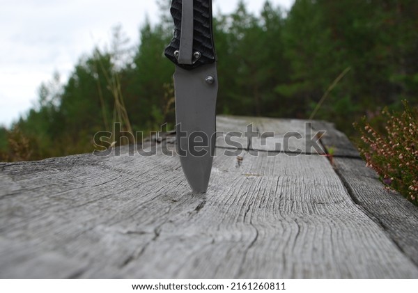 Sharp metal knife\
blade. A hunting knife with a wide steel blade is stuck into the\
wooden surface of the forest bench. Sharp blade in grey. Behind him\
are green trees and the\
sky.