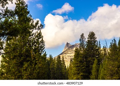 Sharp Mountain Peak Framed by Forest Trees