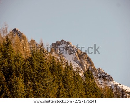 Sharp mountain peaks covered with snow and sunlit evergreen forest at sunset