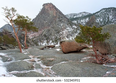 The sharp peak with pine trees in the winter