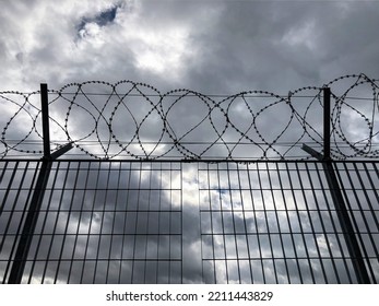 Sharp Razor Wire Fence. Concept Of Refugee,prison, ,criminal, Immigration, Detention, Boundary Or War.