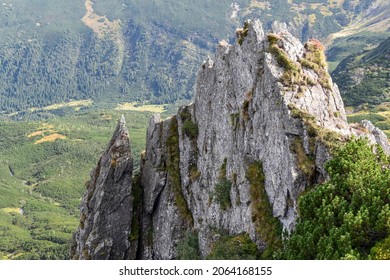 Sharp rock in the mountains against the background of mountain slopes with a spruce forest and a river