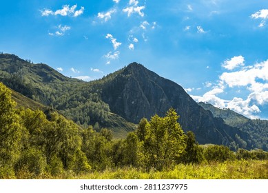 A sharp rocky mountain peak rises dramatically above a green valley floor in the Altai Republic, Siberia, Russia, framed by birch and deciduous trees in full summer foliage. Bright midday sunlight illuminates the craggy cliff face and forest-covered slopes beneath a vivid blue sky dotted with white cumulus clouds, capturing the raw, unspoiled character of this remote Siberian highland region. Available for editorial and commercial licensing.