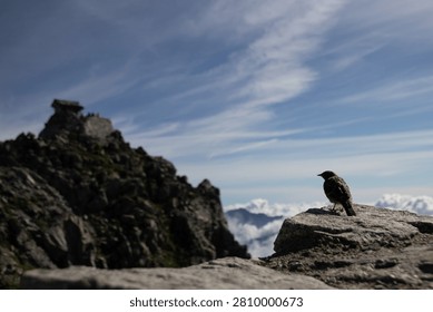 Sharp rugged mountain peak rising above sea of clouds