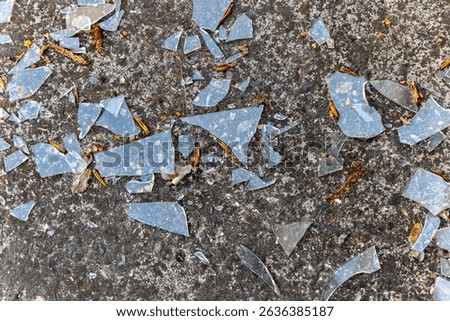 Sharp shards of broken glass scattered across a rough, weathered asphalt ground, mixed with dirt, leaves, and debris.
