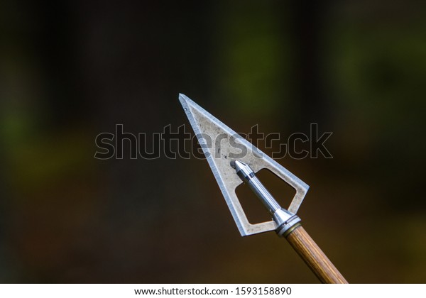 Sharp steel arrow\
blade, hunting weapon