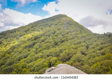 Sharp Top Mountain from Buzzard's Roost