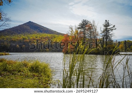 Sharp Top Mountain, Peaks of Otter - Bedford, VA