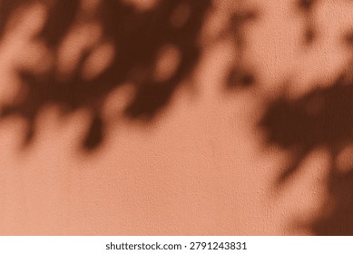 Sharp tropical leaf shadow cast on a dark terracotta wall. Mediterranean summer aesthetic, sunlight, warm vacation vibe, rustic exterior, natural background, minimalist botanical design.