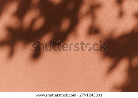 Sharp tropical leaf shadow cast on a dark terracotta wall. Mediterranean summer aesthetic, sunlight, warm vacation vibe, rustic exterior, natural background, minimalist botanical design.