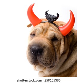 sharpei dog dressed up as a devil