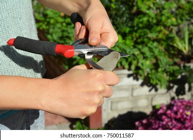 Sharpen Pruning Shears For The Perfect Cut. Cleaning And Sharpening Garden Tools.