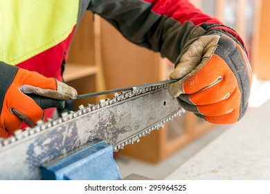 Sharpening a chainsaw
Close up on a man sharpening a chainsaw chain with file. - Powered by Shutterstock