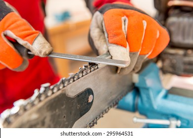 Sharpening a chainsaw
Close up on a man sharpening a chainsaw chain with file. - Powered by Shutterstock