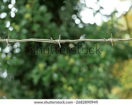 Sharp-focused barbed wire with traces of rust against blurred green background, symbol of boundary and barrier. Copyspace.
