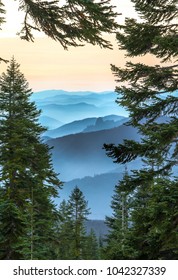 Shasta Trinity National Forest