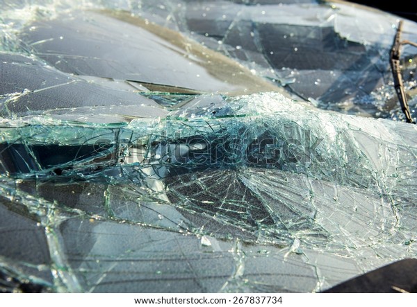 A shattered\
windshield from a crashed\
car.