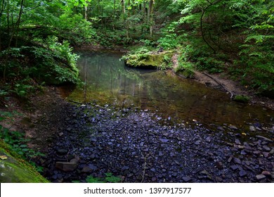 Shawnee National Forest Trail Creek