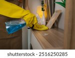 she is cleaning her apartment every weekend to keep everything neat, living room has no dust at all, wearing protection while cleaning which is gloves and apron, furniture, maid