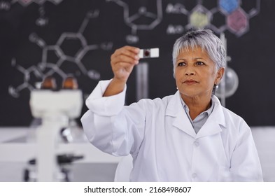 She Has A Passion For Science. A Senior Female Scientist Working In Her Lab.