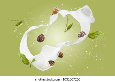 Shea Butter Nuts And Leave With Cream Splash On Green Background