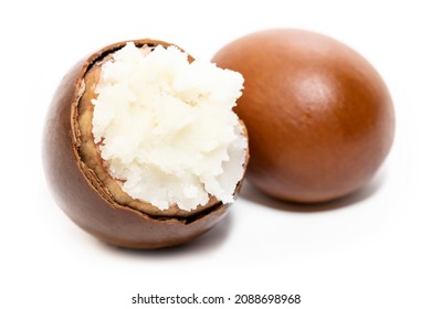 Shea Butter On Open Walnut