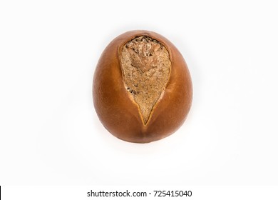 Shea Nut Isolated