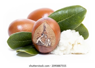 Shea Nuts, With Leaves And Shea Butter On The Side