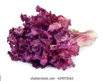 34,208 Purple lettuce Images, Stock Photos & Vectors | Shutterstock