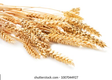 Sheaf Of Wheat Isolated On White Background