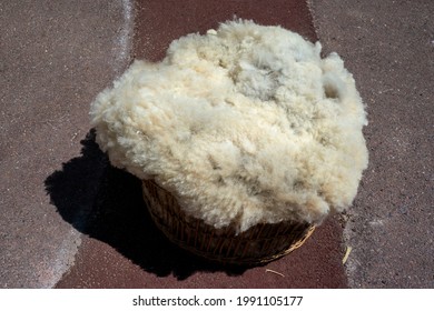 Shearing: Raw Sheep Wool In A Basket