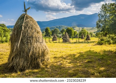 Sheaves of hay and fields in a Ukrainian village in the Carpathians in spring. Village between mountains and sheaves of hay. Ukrainian Carpathian mountains near the village of Bukovetsin summer.