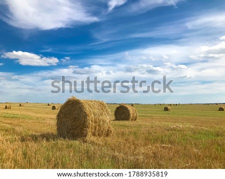 sheaves of hay on the field, yellow-blue photo background