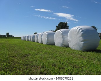 Sheaves Of Hay Packed With Shrink Wrap