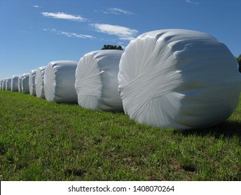 Sheaves Of Hay Packed With Shrink Wrap