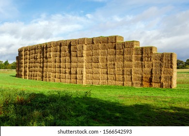 Sheaves Hay Stacked Into Wall On Stock Photo Edit Now