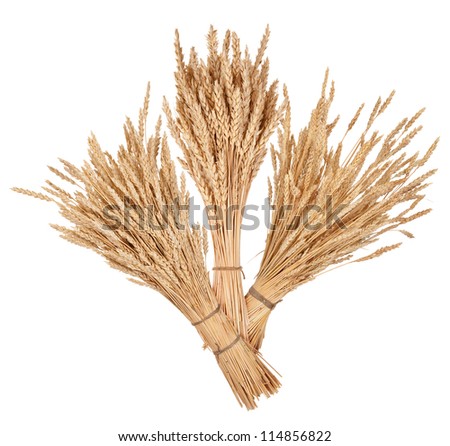 sheaves of wheat