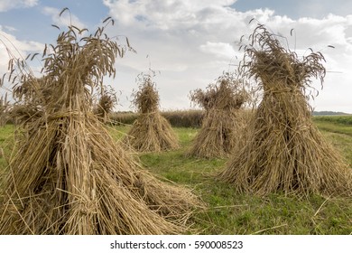 324 Old Fashioned Haystack Images, Stock Photos & Vectors | Shutterstock