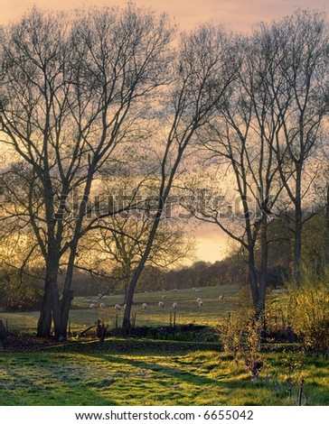 Similar – behind tree gate right