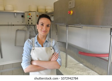 Sheep Cheese Maker In Laboratory