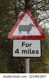 Sheep Crossing For 4 Miles Sign In Vertical Format