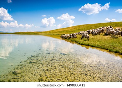 64 Vrazje jezero Images, Stock Photos & Vectors | Shutterstock